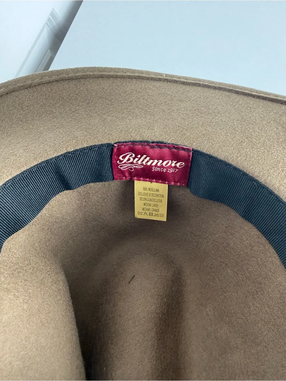 Madewell x Biltmore 100% Wool Wide Brim Fedora Hat